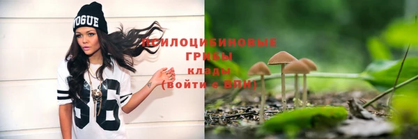 ALPHA PVP Пересвет