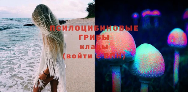 a pvp Арсеньев