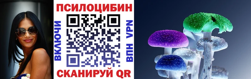 Псилоцибиновые грибы Cubensis  Рошаль 